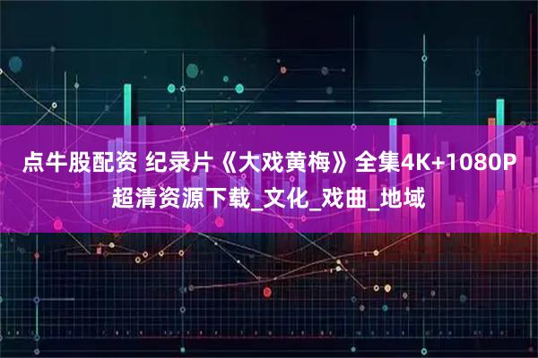 点牛股配资 纪录片《大戏黄梅》全集4K+1080P超清资源下载_文化_戏曲_地域