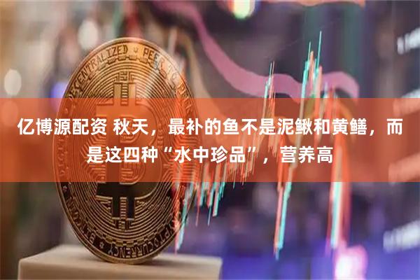 亿博源配资 秋天，最补的鱼不是泥鳅和黄鳝，而是这四种“水中珍品”，营养高